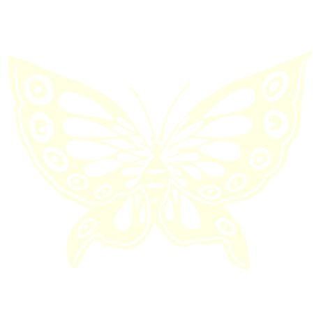 fly
